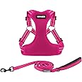 Best Pet Supplies Voyager Adjustable Dog Harness Leash Set with Reflective Stripes for Walking Heavy-Duty Full Body No Pull Vest with Leash D-Ring, Breathable All-Weather Wear - Fuchsia, S