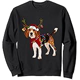 beagle jumpers