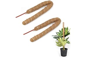 2 Pcs Plant Support Sticks, CHSEROK 60 cm Bendable Moss Poles, Natural Coconut Brown, Plant Stakes, Plant Support Indoor Suitable for Indoor Potted Plants, Climbing Plants