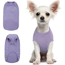 6er-Pack Hunde-Shirts Für Kleine Hunde – Atmungsaktiv, Mit Niedlichen Motiven, Größen S/M, Ideal Für Chihuahua & Dackel