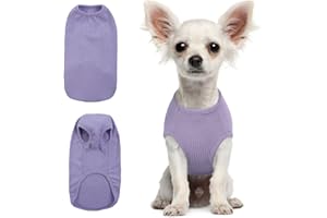 Hjumarayan Tee Shirt Chien - Pull Rayé pour Chien Sweat Chien Fin Pull Chien, Vetement pour Chien Chat T Shirt Chien Tee Shirt Chien Ete T Shirt pour Chihuahua Yorkshire Terriers (Violet XXS)