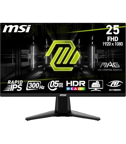 MSI MAG 244F, 24