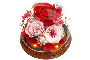 Touloube Regali Natale per Donna - Rosa Rosso Stabilizzata Vera Regalo per la Festa Della Mamma, Avanzate Regalo per Lei, Eterna Fiore Bella e la Bestia con Luci LED, Regalo Rosa Moglie Mamma Nonna