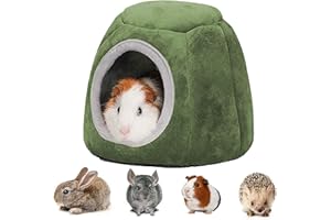 Qanye Casa Invernale per Piccoli Animali Domestic, Casetta per Criceti, Cuccia per Piccoli Animali per Criceti, con Anello per Appendere, per Criceti, Cincillà, Porcellini D'India (Verde)