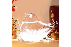KONESKY Weather Predicting Storm Glass, Bird Shape Storm Glass Weather Forecast Bottle Weather Station,Weather Stations for Home Office Accessories (Transparent)