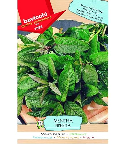 Semi Di Menta Spicata Per Coltivazione: Acquista Online – Shop - Foto 12