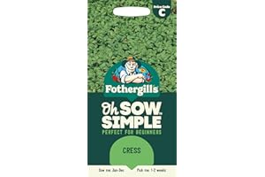 MR FOTHERGILLS Fothergill's Oh Sow Simple, Cress Vegetable Seeds, Sow: Jan–Dec, Green