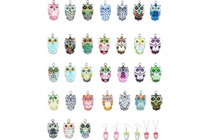 MisFun 31Pcs Breloques en Forme de Chouette, Charms en Émail Hibou Pendentifs Colorés en Alliage, Animaux Charms Mixtes Styler Charms Hibou pour Fabrication de Bijoux Colliers Bracelets Porte Clé