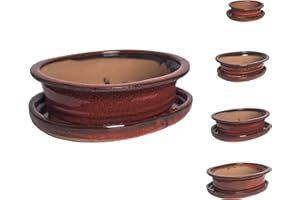 ‎INTER FLOWERS GMBH Bonsaitopf aus Keramik in verschiedenen Größen - Rot - Hochwertiger Blumentopf mit Untersetzer Banzai Bonsai Bonsai Bonsai Drinnen/Außen (27 x 22 x 7 cm)