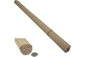 Trustleaf 60cm x 3mm Birch Hardwood Wooden Dowels/Craft Sticks (100 Pack)