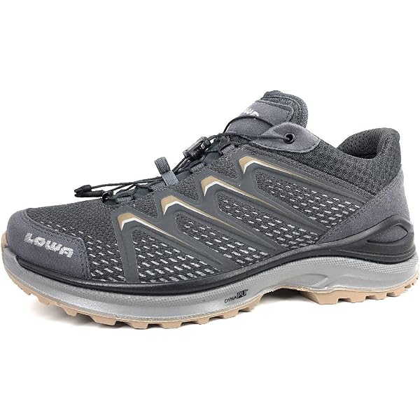 LOWA BARINA EVO GTX hiking shoes in taupe