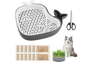 DONGCILL Set di semi di erba gatta, 15 g x 10 confezioni, con vassoio di germinazione dell'erba gatta, set di coltivazione dei germogli