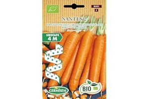 Germisem Orgánica Nantes 2 Semillas de Zanahoria en Cinta de 4 m, ECBIO9051