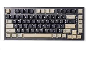 YUNZII YZ75 75% Hot Swappable Wireless Gaming Mechanical Keyboard, RGB Backlights, BT5.0/2.4G/USB-C, Dye Sub PBT Keycaps for Linux/Win/Mac(Gateron G Pro Yellow, Black)