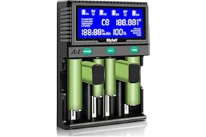DLYFULL 18650 - Caricatore per batterie AA, da 9 V, caricatore per batterie ricaricabili con display LCD, per batterie ricaricabili AA/ AAA/ SC/ C/ D, 9 V, NI-Mh/ NI-CD 14500