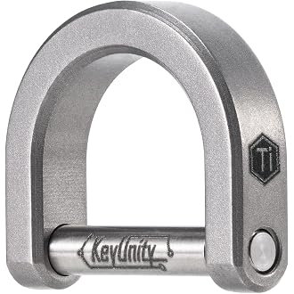 KeyUnity KA17 Titanium D Ring Key Shackle, U Shape Key Ring Horseshoe Clasp for Car Fob, DIY Leather Key Organizer Keychain (Sandblasted, M)