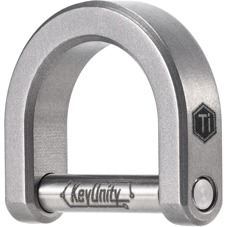 Titanium karabijnhaak, sleutelring, zwart, ronde karabijnhaak, sleutelhanger voor sleutelsortering en EDC-minigereedschap (TKS9-BK Titanium karabijnhaak, sleutelring, zwart, ronde karabijnhaak, sleutelhanger voor sleutelsortering en EDC-minigereedschap (TKS9-BK