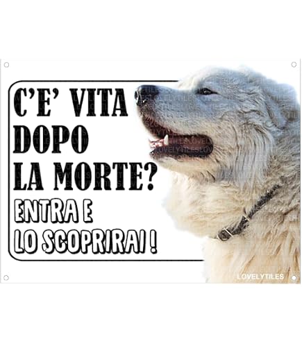 Targa In Metallo 'Attenti Al Cane' - Personalizzabile Con Foto, Formati 20x15 O 20x30 Cm, Per Casa E Giardino