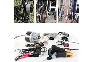 L-faster 250W ÉLECTRIQUE Brosse Moteur pour VÉLO ÉLECTRIQUE ACCÉLÉRATEUR avec Interrupteur CLÉ ET Tension DE Batterie Simple Moteur KIT pour E-Bike Bricolage (36V 250W)