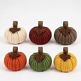 Jutojuvuw 6 Decorative Pumpkins, Hand-Woven with Maple Leaves | Indoor fall decor in warm tones, for coordinated arrangements