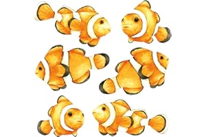 Younikat dv_951 - Set di 6 adesivi decorativi per finestra con motivo a pesci di clown, colorati su entrambi i lati, autoadesivi, rimovibili