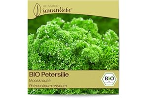 Samenliebe BIO Petersilie Samen alte Sorte Mooskrause 500 Samen samenfestes Kräuter Saatgut für Küche indoor und Balkon Garten BIO Kräutersamen mehrjährig