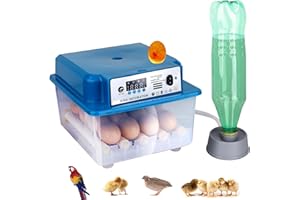 Safego Incubator for Eggs Automatic Turning, 16 Egg Incubators for Hatching Eggs with Humidity Temperature Control Automatic Water Filling, Home Incubator for Hatching Chincken Duck Goose Quail Pigeon