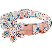 Unique Style Paws Hundehalsband Mit Fliege – Blauer Streifen & Blume, Weich, Größe XS