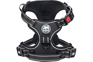 PoyPet No Pull Dog Harness with Neck Release Buckle, Reflective No-Choke Harness with 2 Leash Clip, Adjustable Soft Padded Pet Vest with Easy Control Handle for Small Dogs (Black,S)