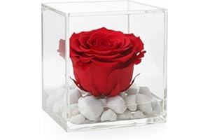 PREMIUM-ROSE.COM OneFlower by Premium-Rose - Cubo Rosa Stabilizzata Rossa Profumata 8cm con Marmo di Carrara - Rosa Eterna Stabilizzata Rossa Idea per San Valentino, Natale Made in Italy - Rosso 1080