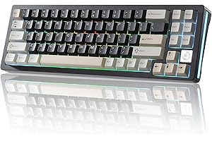 YUNZII AL71 68% tastiera meccanica, all-alluminio CNC, anello hot-swap, 2,4 GHz, tastiera wireless BT5.0/USB-C da gioco, NKRO RGB, per Win/Mac (nero, crystal white switch)