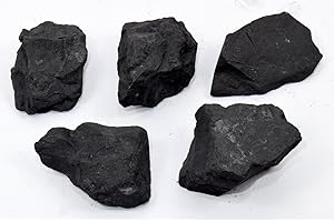 HQRP Set de 5 Piezas (105 g) Negro Shungite Rough Raw Natural Crystal Limpieza de Agua/Purificaciones Mineral Stone Rock Specimens de Rusia