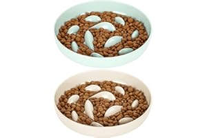 IDOGCHEW Lot de 2 Gamelle Anti Glouton Chat, Assiette Régime Anti Vomissement pour Chat Glouton, Bol Plat Chaton avec Base Antidérapante pour Manger Lentement (Blanc‖-Poisson, Rond)