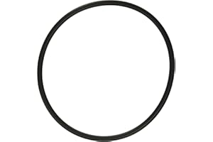 Hayward SPX3000S Filtre de rechange pour pompe Super II