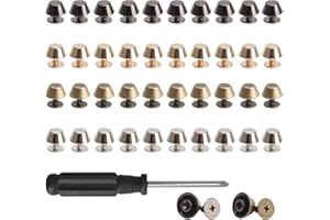 Haisheng Taschenfüße, 40 Stück Standfüße flachkopf Nieten Bodennägel für Taschen Rundnieten Standfüße Nieten Legierung Cone Studs Flachkopf Nieten Ledertaschen Terrassenform Nieten mit Schraubendreher