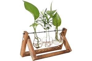 PUWOWYE Stazione di Propagazione per Piante Vintage, Bulb Vase con Supporto in Legno, Vaso a Bulbo in Vetro Idroponico, Mini Vaso come Regalo per la Festa del Papà o della Mamma