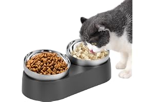 Alaoo Upphöjd kattskål, hundskål med lutande stativ, upphöjd med stativ, designhundmatta med dubbla skålar, 2 kattmatare och