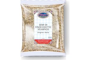 VALSAPORI Semi di Finocchietto Selvatico Naturale Essiccati al Sole - Busta da 100 gr | Gluten Free Vegan | Pianta Aromatica Naturale per Liquori e Tisane - Aroma intenso, Qualità Premium (Finocchietto)