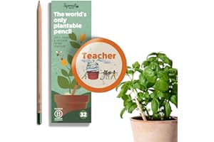 Sprout World Matita | Edizione Teacher | Set di 32 Matite Piantabili con Semi di Fiori, Erbe e Verdure | Legno Ecosostenibile | Set Regalo Ecologico per Insegnanti