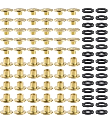 Rivetti A Vite Chicago Rilegatura M3 M4 M5 M6 M8 In Acciaio Inox Rivetti A Vite Chicago Rilegatura M3 M4 M5 M6 M8 In Acciaio Inox