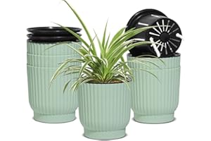 T4U Samonawadniające się doniczki, 6 sztuk, plastikowe doniczki z uchwytem, parapet, doniczki do wszystkich roślin wewnętrznych i zewnętrznych, fiołki afrykańskie (zielone)