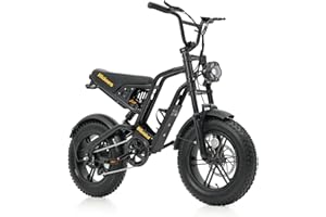 KANPE Fat Tire Electric Bike for Adults,15AH Removable Battery 80KM Range PAS Mode, Electric Dirt Bike Up to 25Km/h,Dual shock absorption,20"/16" x4.0 All-Terrain Tires,Hidoes B6 / B6 Mini