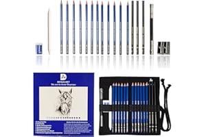 DEHUA ART Set di matite da disegno e schizzi professionale, 20 pezzi, con custodia portatile, kit di strumenti artistici da disegno con matite per schizzi (blu)