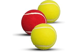 ND Sports Cricket Tennis Balls- Heavy Rubber Tennis Balls for Cricket Play Weight 120gm