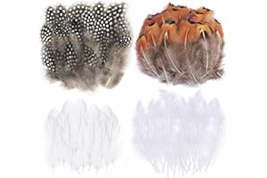 Fzyisw 200 Stück Federn zum Basteln, Bastelfedern, Federn Weiss Bastel, Federn Deko für DIY Halloween Kostüm Karneval Masken Weihnacten Kranz Ostern Zubehör, Weiß Natürliche Farben, Crafts Feather