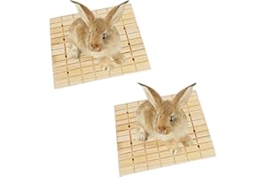 DNOIFNE 2 Pack Rabbit Wooden Scratch Board, Bunny Foot Pad, Teeth Grinding Toys for Small Animal, Garras Scratching Pad Toy and Cage Accessories for Hamster Chinchilla Guinea Pigs