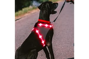 ChalkLit LED Hundegeschirr, Leuchtendes Wiederaufladbares Beleuchtetes Reflektierendes Hundegeschirr Leuchtet Im Dunkeln, LED Hunde-Sicherheitswestenlichter für Nachtspaziergänge (Rosa, L)
