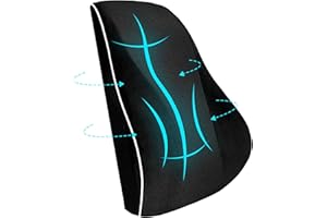 USHOP Cojín Lumbar,cojin Lumbar Silla Oficina Ergonómico de Doble Cara Termorregulada,cojin Lumbar Coche en Espuma Viscoelástica de Alta Densidad,con Dobles Correas Ajustables y Funda Extraíble