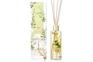 COCORRÍNA 430ml Ambientadores de Hogar, Té Blanco, Difusor de Varillas, con 8 Varillas Fragancia de Hogar para Baño Dormitorio Decoración de Hogar