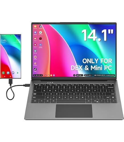 Dopesplay Lapdock for Samsung DeX Mode, 14.1 Inch HDR IPS Portable